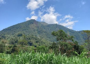 Terpantau Aman, Petugas Gabungan Menyisir Titik-titik Api Kebakaran Gunung Telomoyo