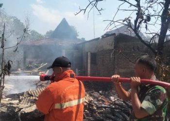 Strategi Baru Tangani Kebakaran di Pati, Ini Lembaga yang Tergabung dalam Sahabat Damkar 1 Strategi Baru Tangani Kebakaran di Pati, Ini Lembaga yang Tergabung dalam Sahabat Damkar