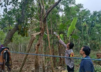 Diduga Masalah Asmara, Seorang Ibu di Semarang Temukan Anaknya Tewas Gantung Diri