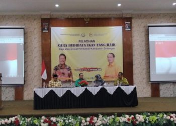 Miliki Potensi Besar, Firman Subagyo Dorong Budidaya Ikan di Grobogan 6 Miliki Potensi Besar, Firman Subagyo Dorong Budidaya Ikan di Grobogan