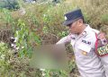 Penemuan Mayat Tinggal Tulang Gegerakan Warga Pedawang Bae Kudus 11 Penemuan Mayat Tinggal Tulang Gegerakan Warga Pedawang Bae Kudus