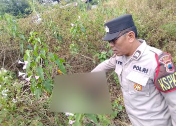 Penemuan Mayat Tinggal Tulang Gegerakan Warga Pedawang Bae Kudus