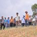 Harga Sayur Anjlok Menjadi Rp 400, Ini Langkah Pemkab Pekalongan 8 Harga Sayur Anjlok Menjadi Rp 400, Ini Langkah Pemkab Pekalongan