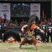 Hadirkan Tari Barong Gondoriyo, Cara Unik Bawaslu Grobogan Ajak Masyarakat Awasi Pilkada 8 Hadirkan Tari Barong Gondoriyo, Cara Unik Bawaslu Grobogan Ajak Masyarakat Awasi Pilkada