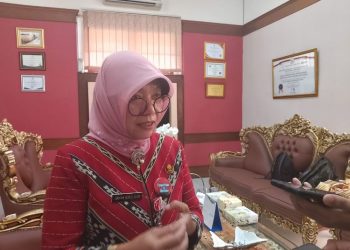 Tak Terpengaruh Pergantian Pemimpin, DPMPTSP Tegaskan Tren Investasi di Jateng Naik