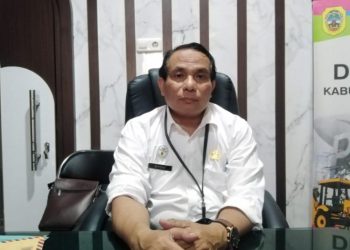 Kesulitan Tertibkan Karaoke, Kepala DPMPTSP Sebut Akibat Kemudahan Izin Lewat OSS