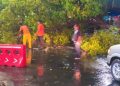 Hujan Disertai Angin Sebabkan Banyak Pohon Tumbang di Blora, Lalu Lintas Sempat Lumpuh 15 Hujan Disertai Angin Sebabkan Banyak Pohon Tumbang di Blora, Lalu Lintas Sempat Lumpuh