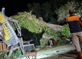 Pohon Tumbang Timpa Rumah Warga di Kabupaten Semarang, Kerugian Capai Puluhan Juta 16 Pohon Tumbang Timpa Rumah Warga di Kabupaten Semarang, Kerugian Capai Puluhan Juta