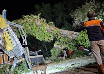 Pohon Tumbang Timpa Rumah Warga di Kabupaten Semarang, Kerugian Capai Puluhan Juta