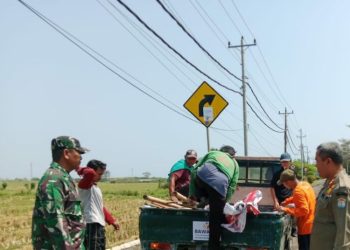 APK yang Melanggar Capai 3.700, Satpolkar Kendal Bantu Tertibkan