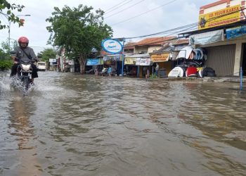 Tangani Rob di Semarang-Demak, Ini Langkah Jangka Panjang Pemerintah yang diperkirakan Efektif pada 2026