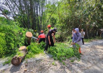 Bahayakan Pengguna Jalan, BPDB Grobogan Tangani Jalan Miring Akibat Terkikis Air Sungai 1 Bahayakan Pengguna Jalan, BPDB Grobogan Tangani Jalan Miring Akibat Terkikis Air Sungai