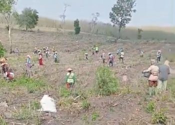 Pertanian di Kawasan Hutan Blora Selatan Butuh Puluhan Ribu Pekerja