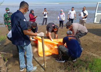 Mayat Tanpa Identitas Ditemukan di Pantai Kemangi Kendal, Polres: Meninggal Sekitar 4 Hari Lalu 1 Mayat Tanpa Identitas Ditemukan di Pantai Kemangi Kendal, Polres: Meninggal Sekitar 4 Hari Lalu