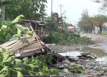 Kendal Diterpa Hujan dan Angin Kencang, Sejumlah Insiden Terjadi