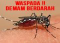 Warga Grobogan Cemas, Ribuan Kasus DBD Sebabkan 19 Orang Meninggal Dunia 19 Warga Grobogan Cemas, Ribuan Kasus DBD Sebabkan 19 Orang Meninggal Dunia