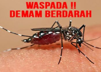 Warga Grobogan Cemas, Ribuan Kasus DBD Sebabkan 19 Orang Meninggal Dunia