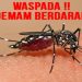 Warga Grobogan Cemas, Ribuan Kasus DBD Sebabkan 19 Orang Meninggal Dunia 8 Warga Grobogan Cemas, Ribuan Kasus DBD Sebabkan 19 Orang Meninggal Dunia