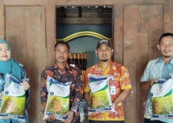 Dukung Swasembada Pangan, Distanpan Rembang Salurkan Bantuan Benih Padi ke 8.571 Hektar Sawah