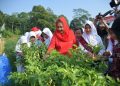 Butuh Regenerasi Profesi Petani dan Nelayan, Pemkot Semarang Terbitkan Perwal Beasiswa Pendidikan