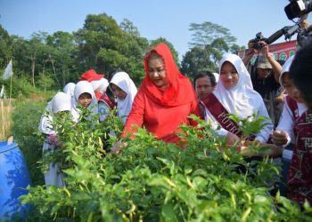Butuh Regenerasi Profesi Petani dan Nelayan, Pemkot Semarang Terbitkan Perwal Beasiswa Pendidikan