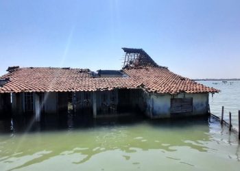 Penanganan Banjir Rob Perlu Upaya Komprehensif, Plt Bupati Demak: Kerja Sama Pusat dan Provinsi