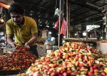 Imbas Cuasa Ekstrem, Harga Cabai Rawit di Blora Meroket