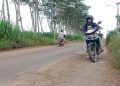 Belum Genap Sebulan Diperbaiki, Jalan Gunungwungkal-Bondol Pati Mulai Rusak