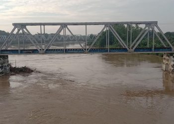 Siaga Hijau, Ini Kondisi Terkini Ketinggian Air Sungai Bengawan Solo di Blora