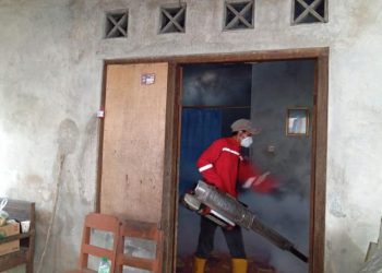 Kasus DBD di Kendal Meningkat, 32 Orang Meninggal Sepanjang Tahun 2024