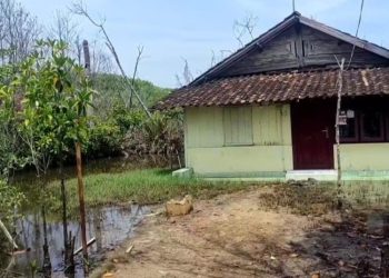 165 Rumah di Kendal Terancam Kena Banjir Rob, Warga Harap Pemkab Bangun Tanggul