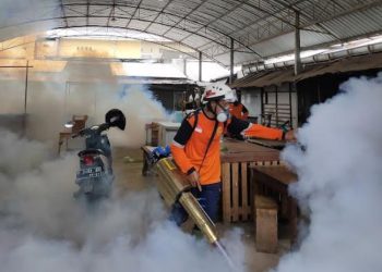 Kasus DBD di Pati Meningkat saat Musim Hujan, 4 Orang Meninggal Dunia