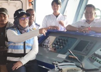 Pelni Akan Beli 3 Kapal Senilai Rp 4,5 Triliun, Minta Pemerintah Segera Cairkan Dana