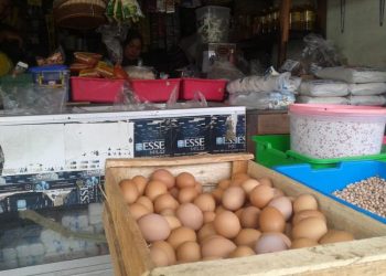 Jelang Natal, Harga Telur Ayam Ras di Salatiga Naik Jadi Segini