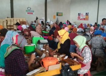 Resmi Diumumkan, Ini Besaran UMK, UMSK, UMP, UMSP se-Jawa Tengah