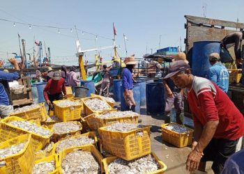 Bakal dapat Asuransi, 4.041 Nelayan Masuk Program Unggulan Pemkab Pati