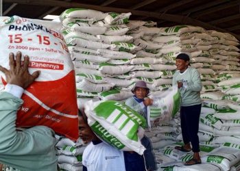 Jumlah Alokasi Pupuk NPK di Pati Dipastikan Naik, Urea dan Organik Menurun