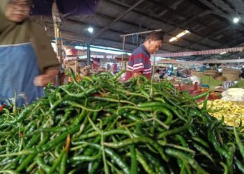 Imbas Harga Melambung Tinggi, Cabai Busuk Kini Jadi Minat Konsumen di Salatiga
