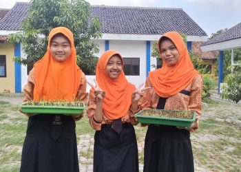 Bentuk Karakter Siswa, SMP Negeri 2 Sulang Rembang Adakan P5 dengan Tanam Microgreens