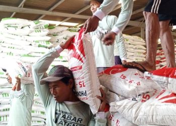 Harga Pupuk Bersubsidi di Pengecer Tak Sesuai HET, Petani di Pati Mengeluh