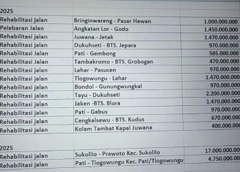 16 Ruas Jalan di Pati Bakal Diperbaiki Mulai Februari 2025 