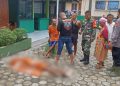 Diduga Serangan Jantung, Seorang Kakek Ditemukan Tewas Mengambang di Sungai Kalijajar Demak 19 Diduga Serangan Jantung, Seorang Kakek Ditemukan Tewas Mengambang di Sungai Kalijajar Demak