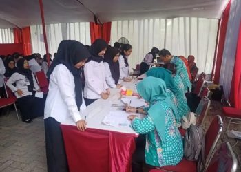 Satu Formasi CPNS di Pekalongan Ini Kosong dari Pelamar, Ini Penyebabnya