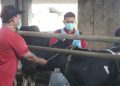 150 Sapi di Pekalongan Diberi Vaksin PMK Hari Ini, 300 Dosis Masih Diajukan 19 150 Sapi di Pekalongan Diberi Vaksin PMK Hari Ini, 300 Dosis Masih Diajukan
