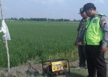 Masih Banyak Dipakai, Jebakan Listrik Tikus di Blora Renggut Nyawa Tiap Tahun