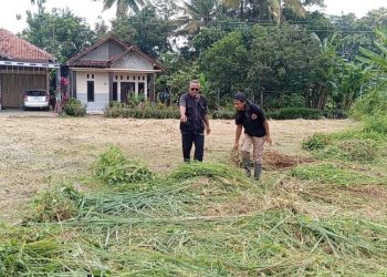 Lahan Tidur di Pekalongan Akan Disulap Jadi Pusat Pertanian Terpadu