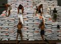 Bulog Cabang Semarang Targetkan Serap Beras Petani Hingga 80 Ton pada 2025 18 Bulog Cabang Semarang Targetkan Serap Beras Petani Hingga 80 Ton pada 2025