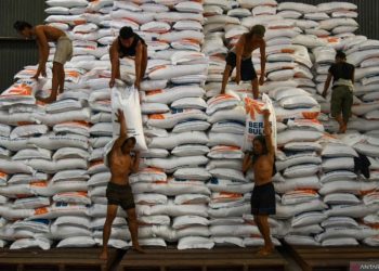 Bulog Cabang Semarang Targetkan Serap Beras Petani Hingga 80 Ton pada 2025