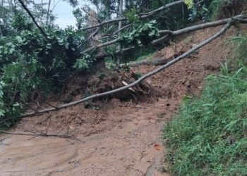 Tebing 15 Meter di Pekalongan Longsor, Akses Dua Desa Terputus Total