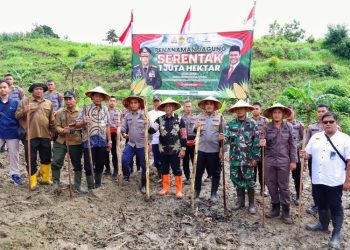 Lahan 1 Juta Hektar di Kudus Ditanami Jagung untuk Swasembada Pangan